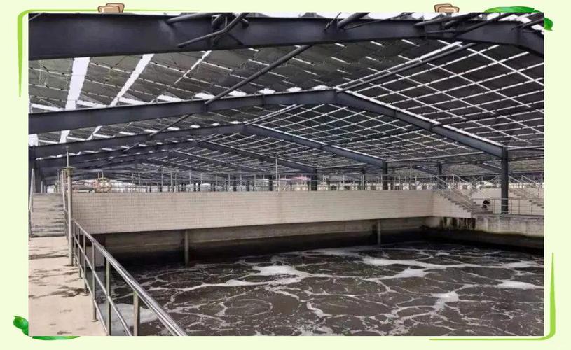 知行合一 铸就绿色能源梦，掌舵环保技术新未来
